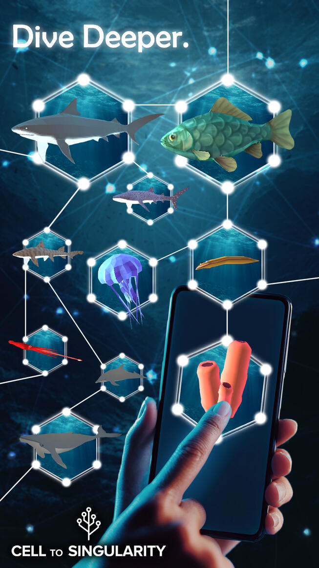 CtS - DeepSeaCreatures